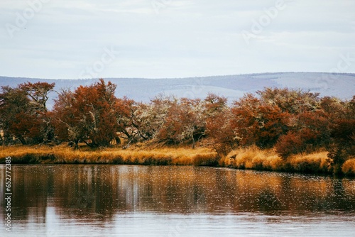 Beautiful autumn view in Rubens River, Santa Cruz, Patagonia, Argentina