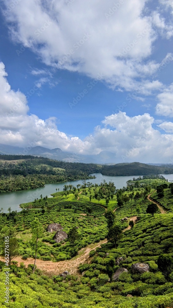 Obraz premium Aerial view of a lush tea plantation on green hills