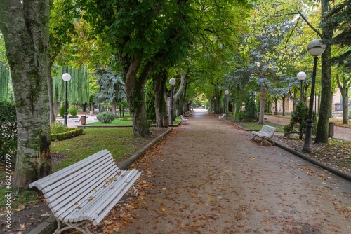 Pathway lined with green trees and benches in the town of Soria, Spain
