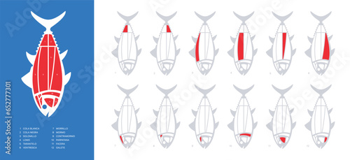 Horizontal Tuna Cuts diagram (ronqueo). Parts of tuna written in Spanish.
