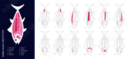 Brand new Tuna Cuts diagram (ronqueo). Parts of tuna written in Spanish.
