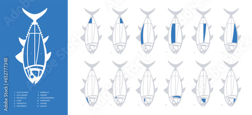 Blue horizontal Tuna Cuts diagram (ronqueo). Parts of tuna written in Spanish.