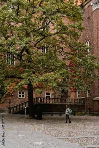 two people walking near some tall buildings and a tree with leaves