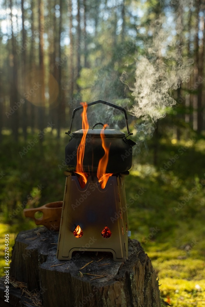 Burning wood stove with boiling kettle in the forest close-up
