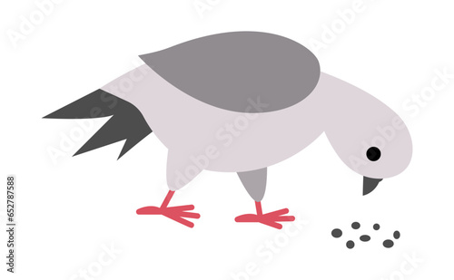 Photography Pigeon pecking seeds