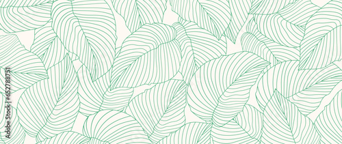 Tropical leaves wallpaper, luxury botanical nature leaf design, vector background with green leaf lines. Hand drawn, suitable for fabric design, print, cover, banner and invitations.
