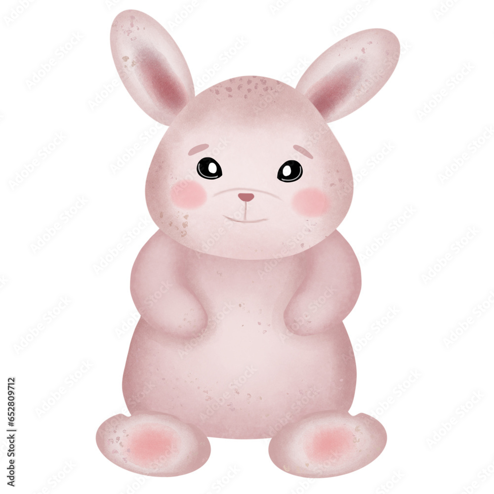 rabbit isolated on white
