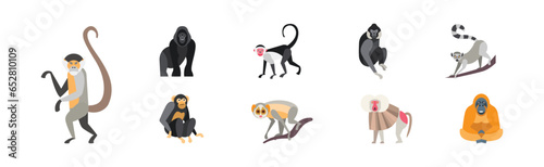 Different Monkey and Ape Animal Zoo Species Vector Set
