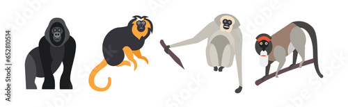 Different Monkey and Ape Animal Zoo Species Vector Set
