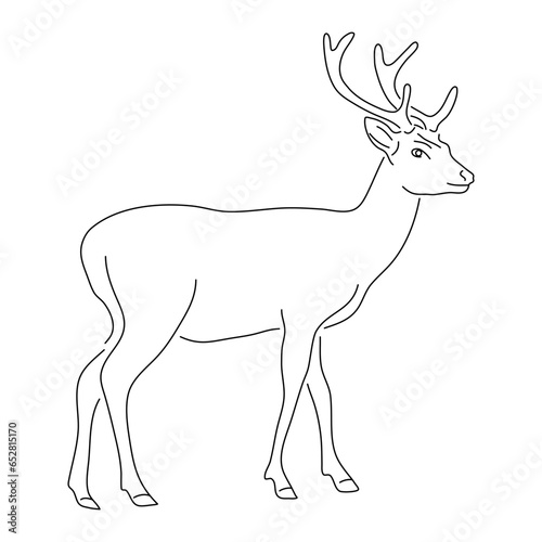 Deer illustration in hand drawn design. Vector editable stroke.