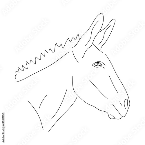 Donkey head illustration in hand drawn design. Vector editable stroke.
