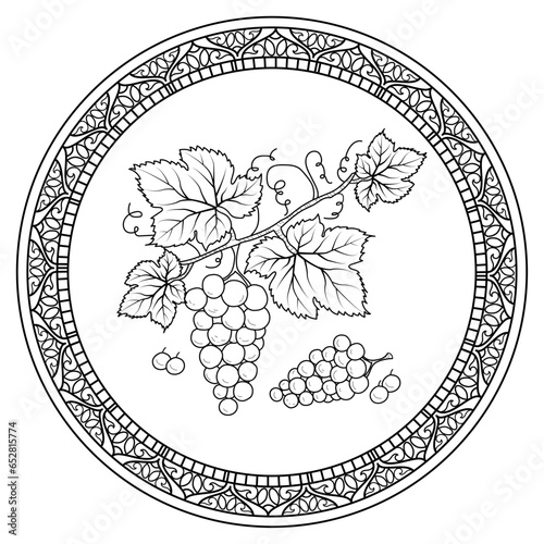 Vector illustration of a mandala frame with grape for coloring book, cornice mandala con uva  da colorare per libro adulti antistress