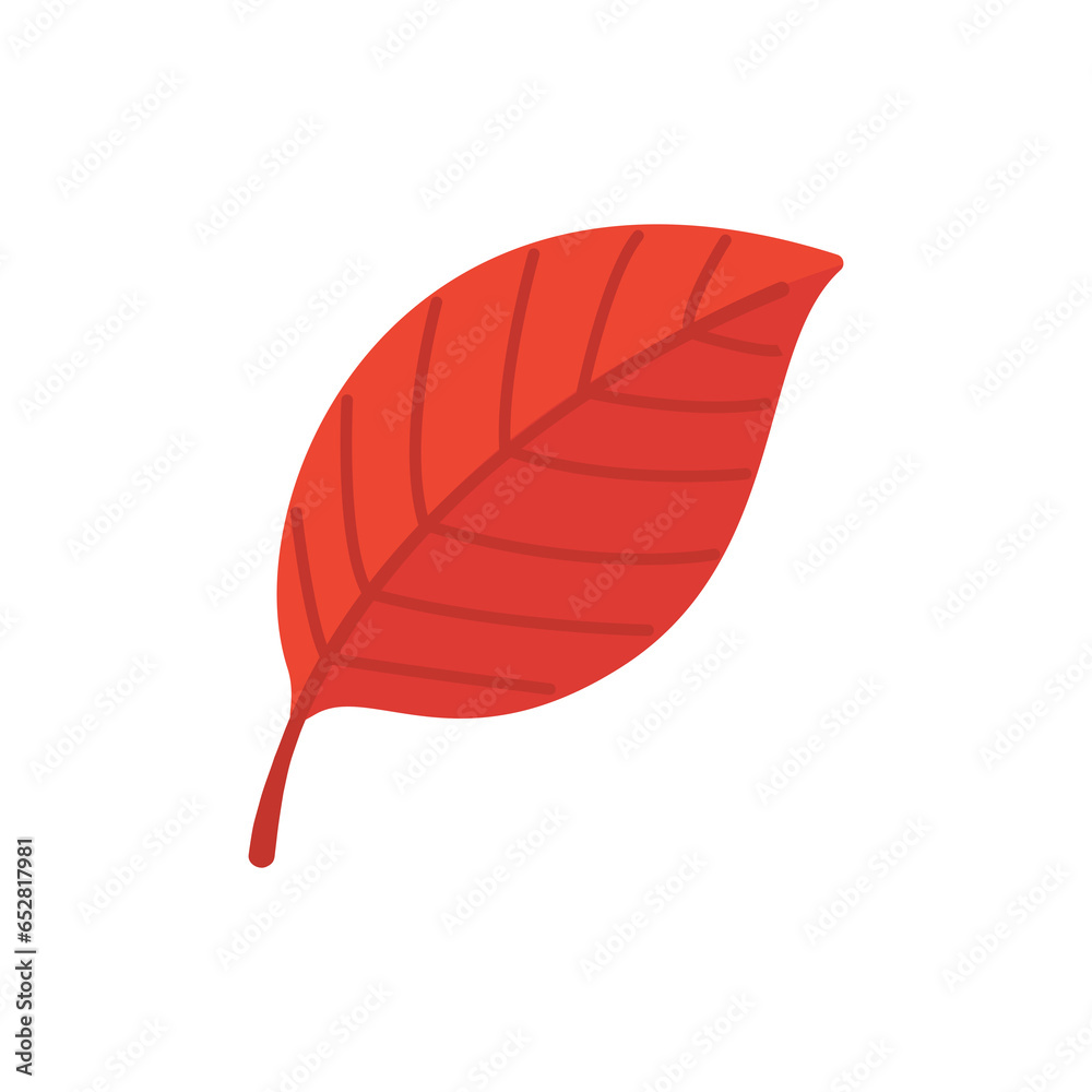 Beautiful leaf composition. Leaves change color in autumn Beautiful leaf composition. Leaves change color in autumn