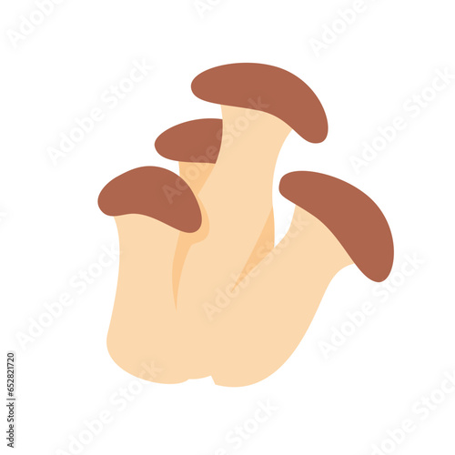 Mushrooms caused by fungi Harvest season at Thanksgiving