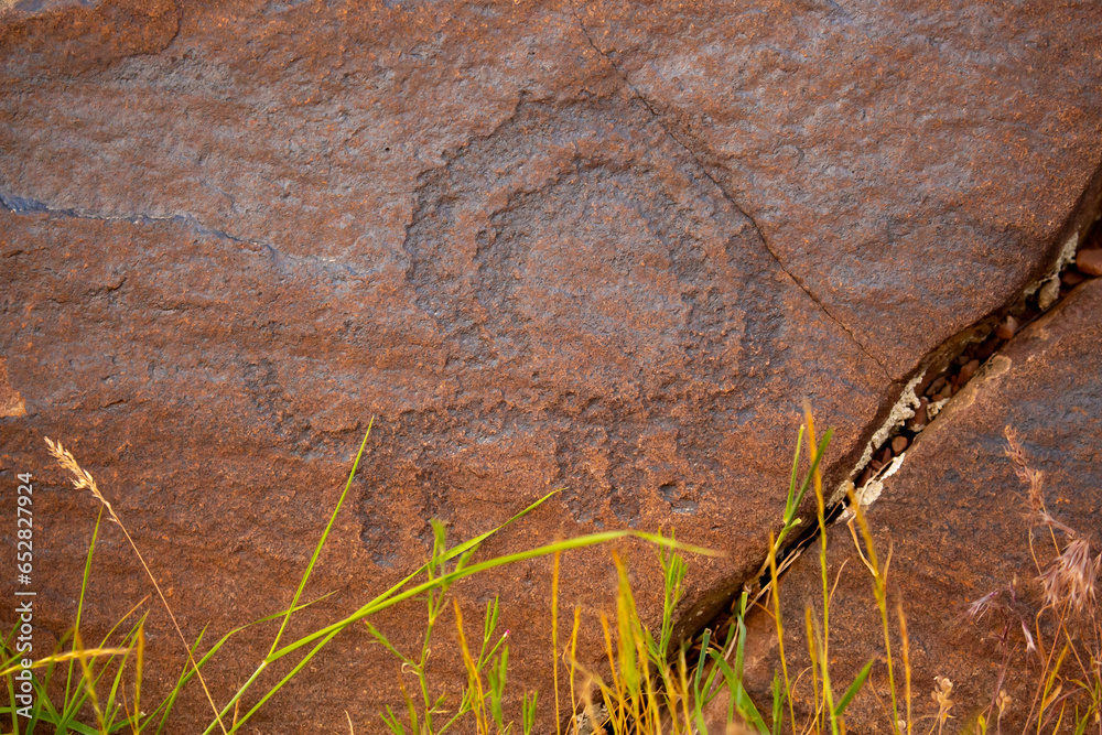 Obraz premium Petroglyphs on the rocks in Kazakhstan. The ancient parking cave man. Historical cave paintings. Carved on stone images of deer, goats and wolves. The development of ancient peoples.