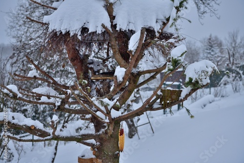 Detail of feeder for wildlife birds in snowy winter 