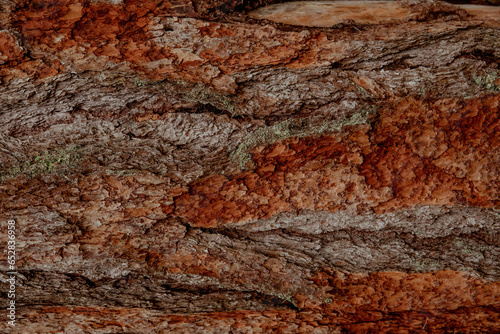 The texture and background of the brown bark of the tree