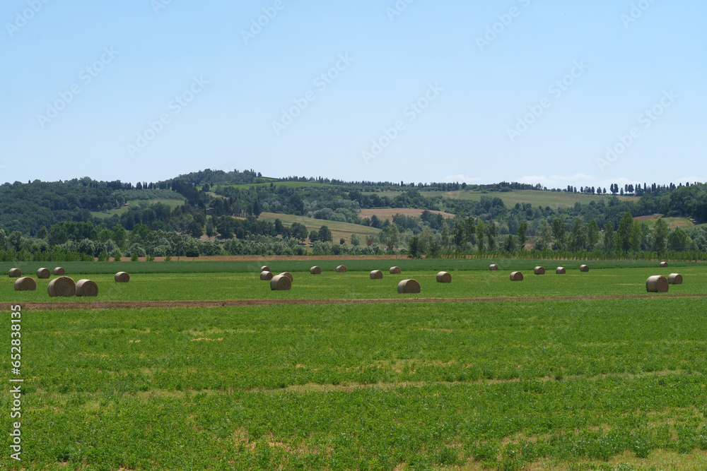 Country landscape near Ponsacco, Tuscany