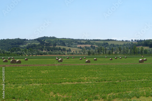 Country landscape near Ponsacco, Tuscany