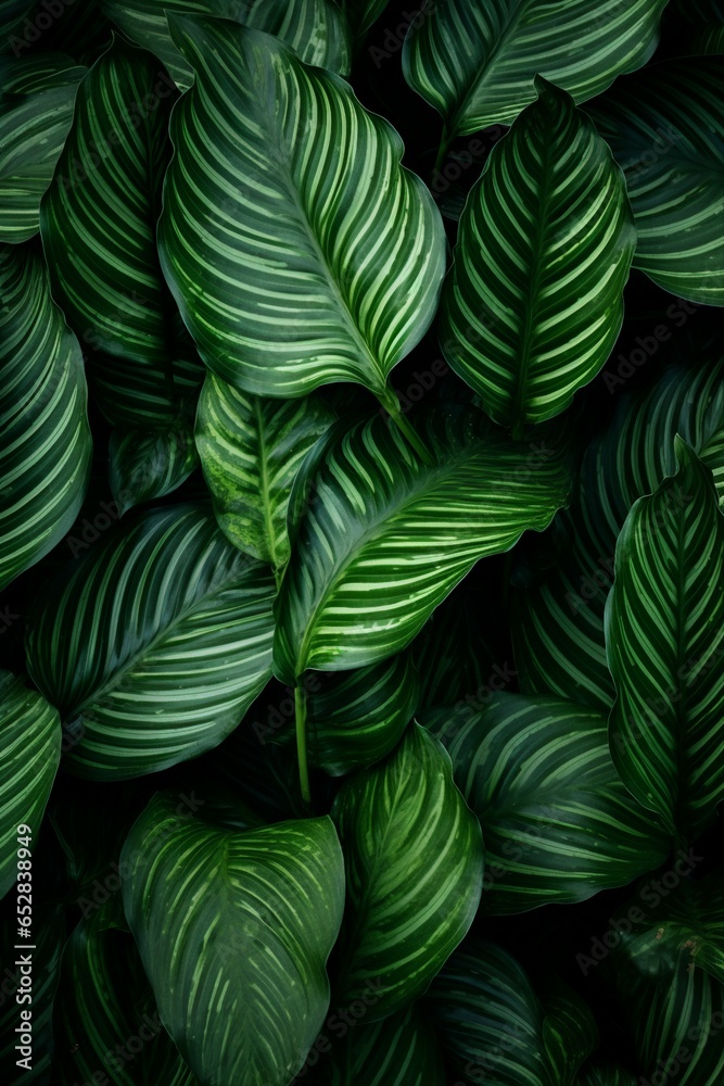 green leaves background green leaves background