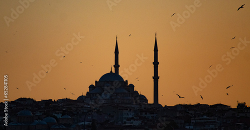 Obraz na płótnie Istanbul w salonie