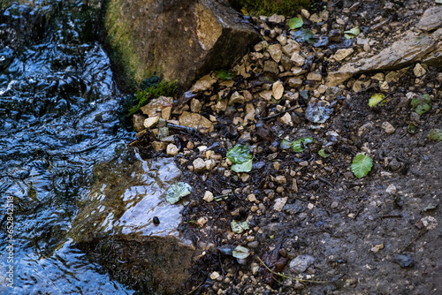 A stormy stream of a mountain river flows over large and small stones, white waves, strong current, small waterfalls, swirls, dark water