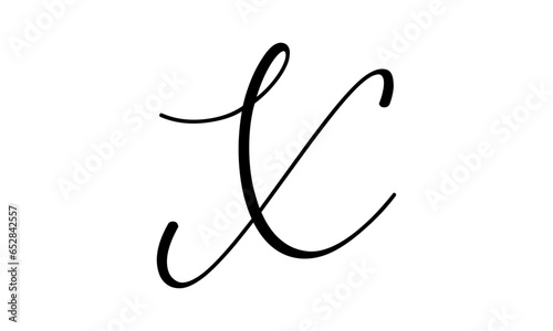 Letter X Logo Template Design 
