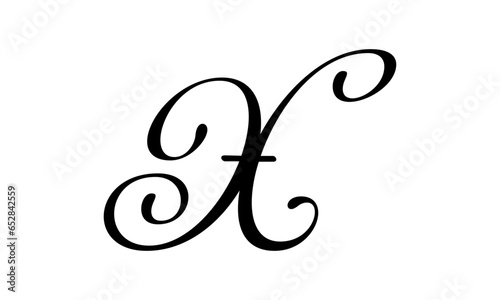 Letter X Logo Template Design 