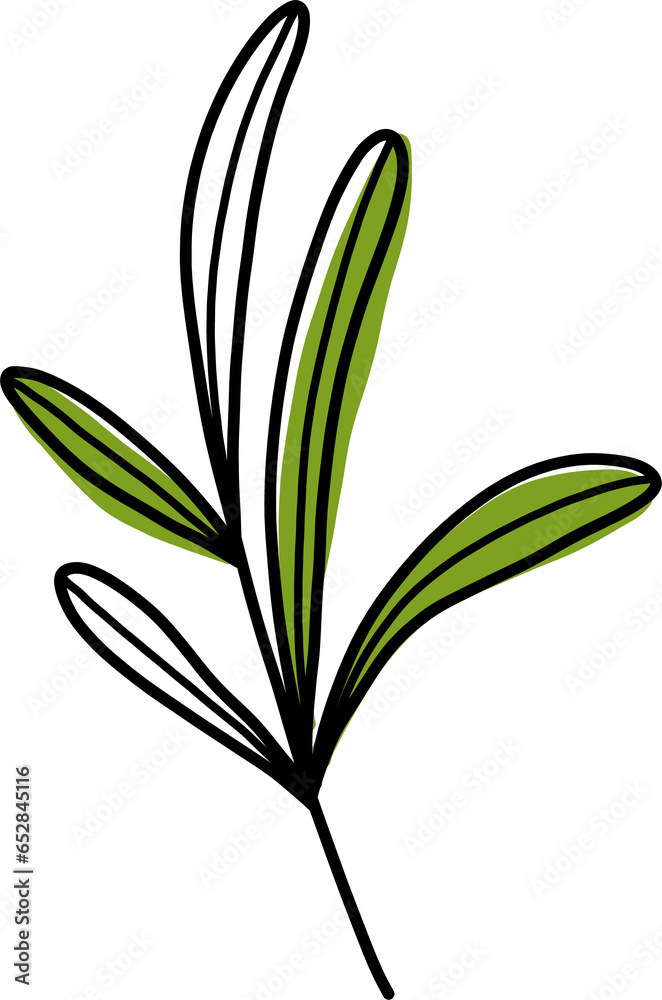 Obraz premium lily of the valley isolated