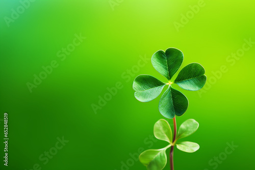 clover leaves on isolated background