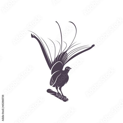 Lyrebird vector illustration design. Lyrebird Silhouette. Lyrebird design template.