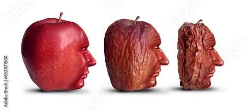 Ageing and Aging Process as a new fresh ripe red apple decomposing and getting old and wrinkled representing humans and age progression or elderly and geriatrics issues photo