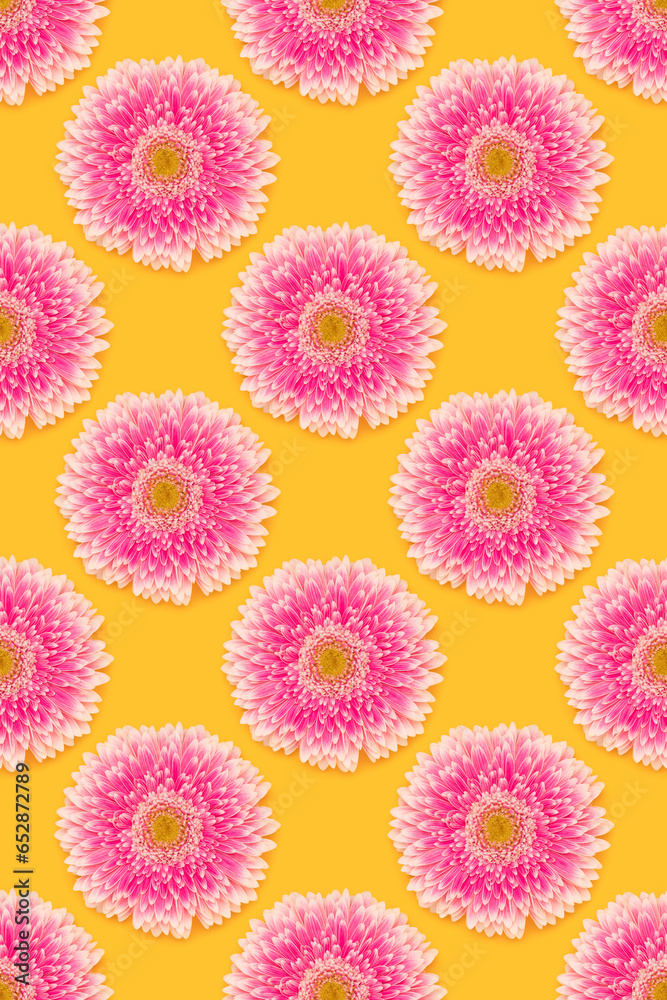 Pattern made of pink gerbera flower on a yellow background. Floral texture. Pattern made of pink gerbera flower on a yellow background. Floral texture.