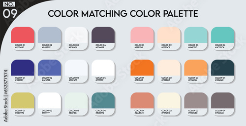 Logo design Color matching color palette - 09, Fashion Trend Color guide palette, An example of a color palette vector. Forecast of the future .HEX code palette for fashion designers, fashion business