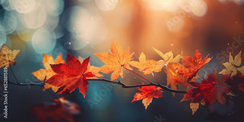 Autumn Leaves Background. Red  Yellow and Orange Maple Leaves on a blurred fall background  copy space