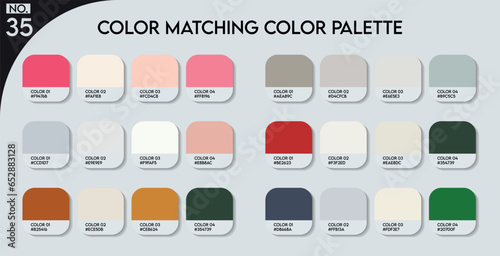 Logo design Color matching color palette - 35, Fashion Trend Color guide palette, An example of a color palette vector. Forecast of the future .HEX code palette for fashion designers, fashion business