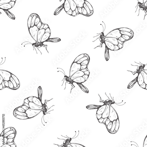 Hand drawn butterfly seamless pattern. Monochrome insects doodle. Black and white vintage elements. Vector sketch. Detailed retro style. © Mariia Mazaeva