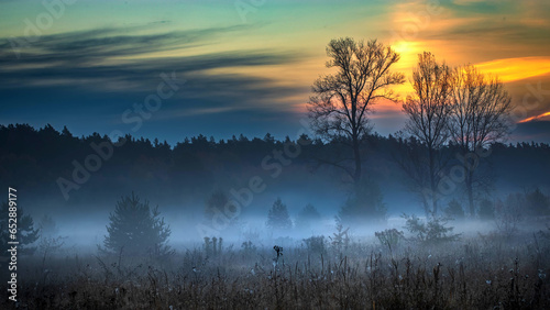 Fog in a forest at sunrise. Autumn foggy morning.