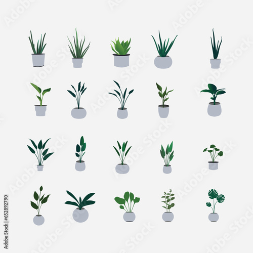 collection of ornamental plants in pots vector elements