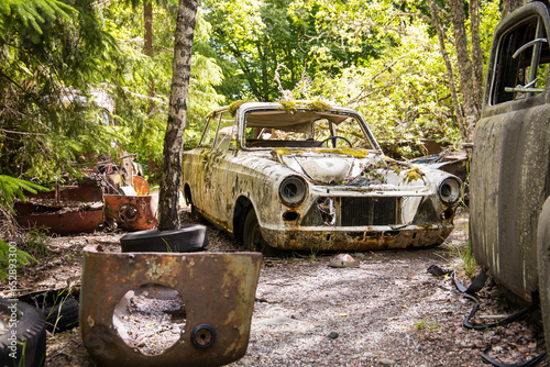 Forgotten combustion car cemetery in a forest photo