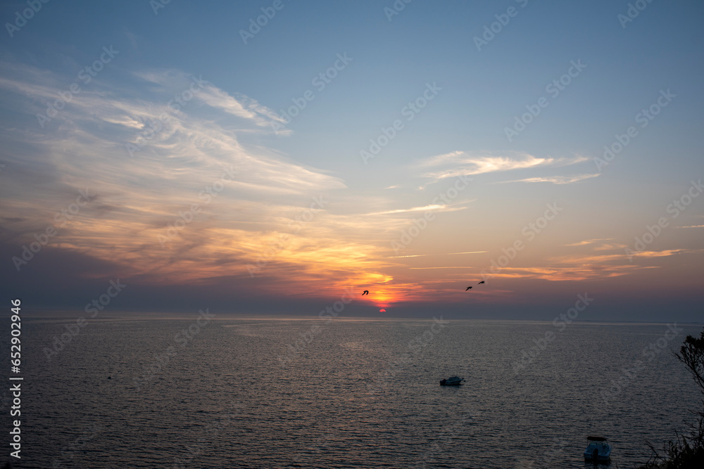 Several segaull fly rigth past a cape cod summer sunset