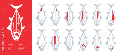 Brand new Red Tuna Cuts diagram (ronqueo). Parts of tuna written in Spanish.