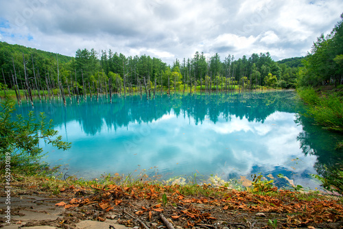 Shirogane blue pond, colour is thought to result from colloidal aluminium hydroxide in the water, Biei, Kamikawa Subprefecture, Hokkaido, Japan photo