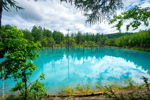 Shirogane blue pond, colour is thought to result from colloidal aluminium hydroxide in the water, Biei, Kamikawa Subprefecture, Hokkaido, Japan photo