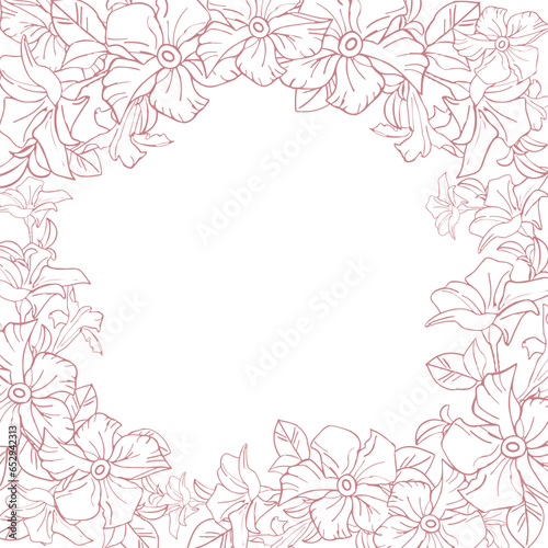 Jasmine exotic flower, hand drawn vector illustration for card or wedding invite