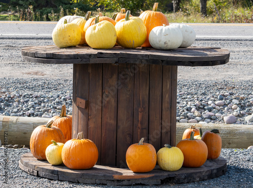 Colorful Pumpkins on display on a Wooden Reel