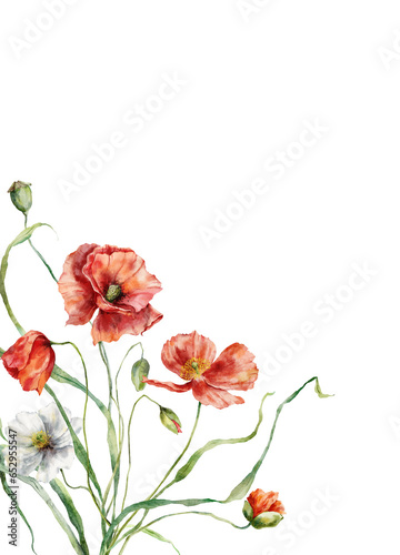 Watercolor meadow flowers border of white and red poppies. Hand painted floral illustration isolated on white background. Bouquet for design  print  fabric or background. Poster for interior.