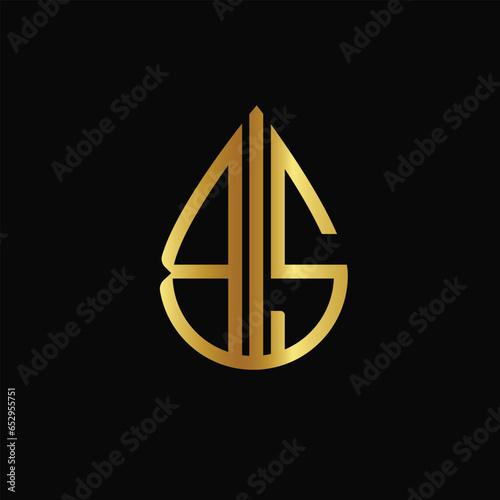 BS logo design for your company