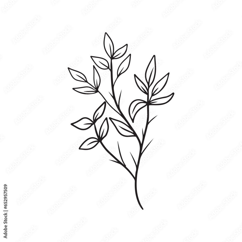 Abstract realistic branch with leaves in black isolated on white background. Hand drawn vector sketch illustration in doodle engraved vintage outline line art. Plant yanang thai siamese rosewood.