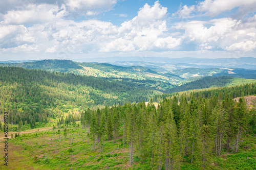 Beautiful view of the mountainous wooded landscape of the Pieniny National Park on the border between Slovakia and Poland photo